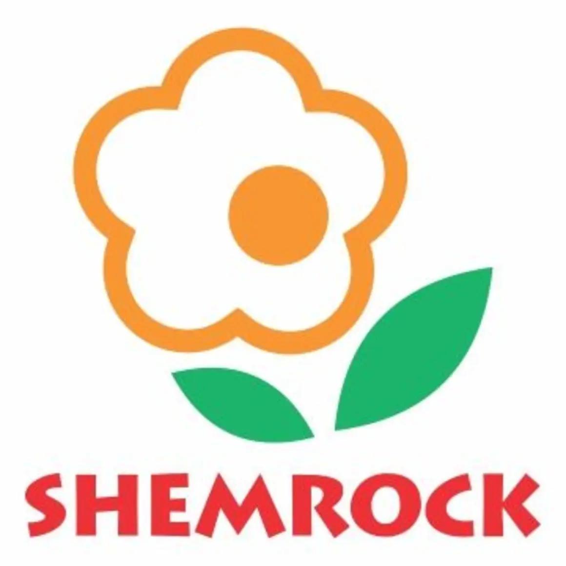 SHEMROCK Glory Play School